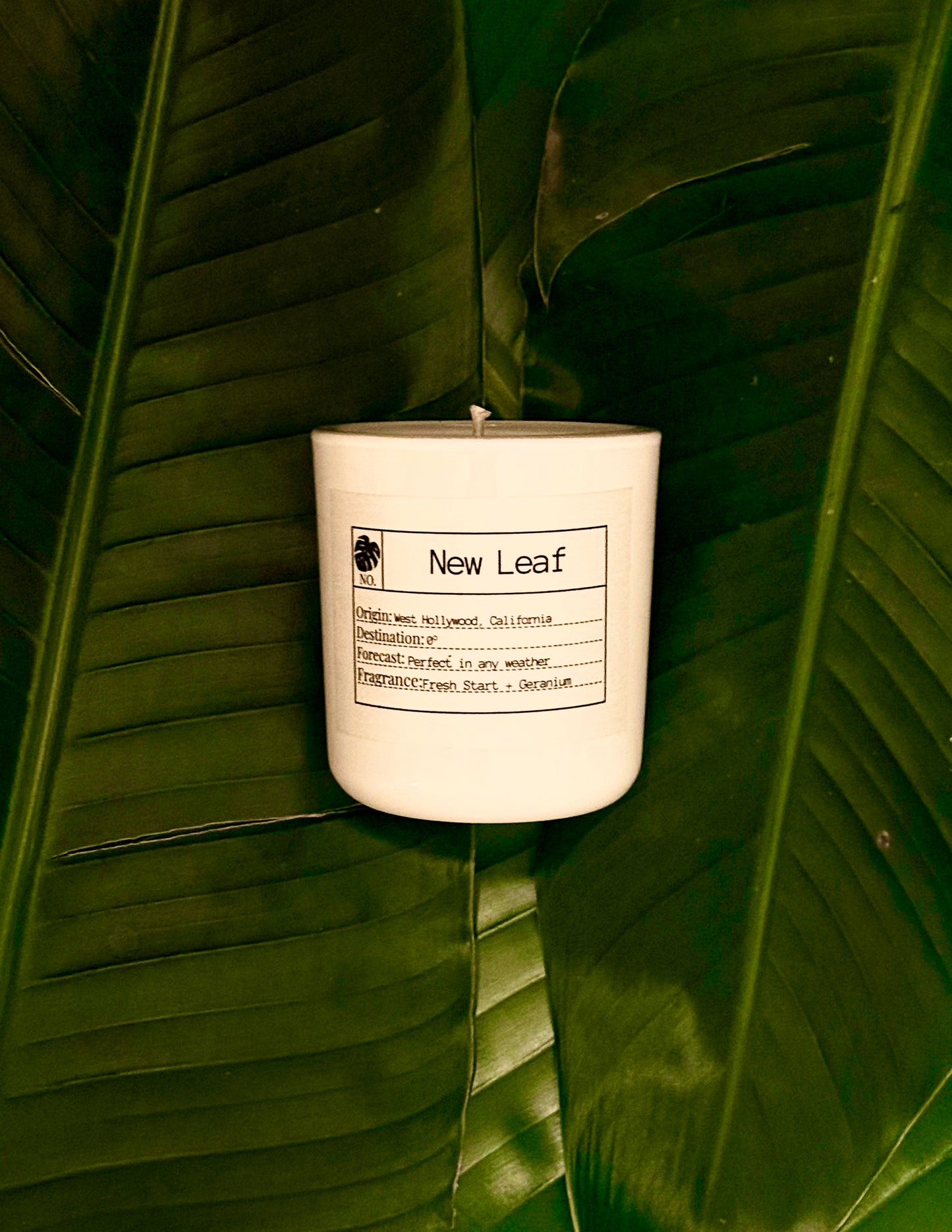 Candle of the Month: New Leaf Slow Burn Soy Candle