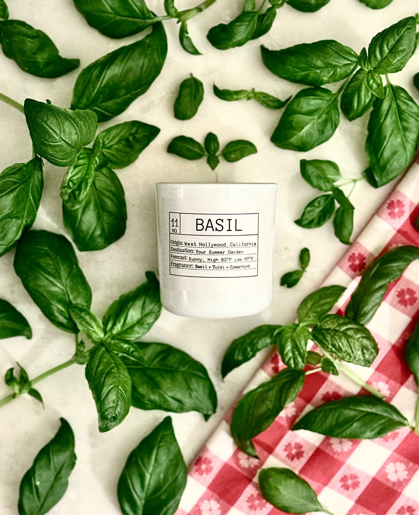 Candle of the Month: Fresh Basil Slow-Burn Soy Candle