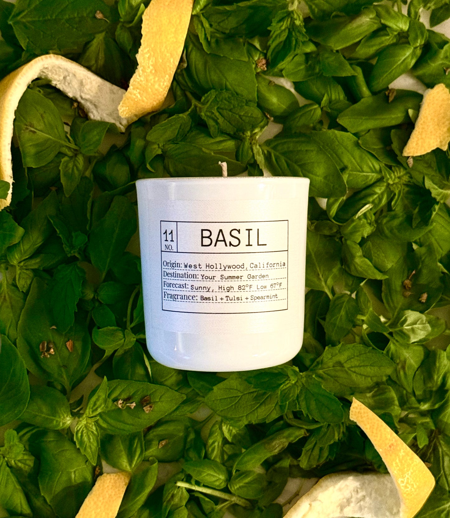Candle of the Month: Basil Slow-Burn Soy Candle