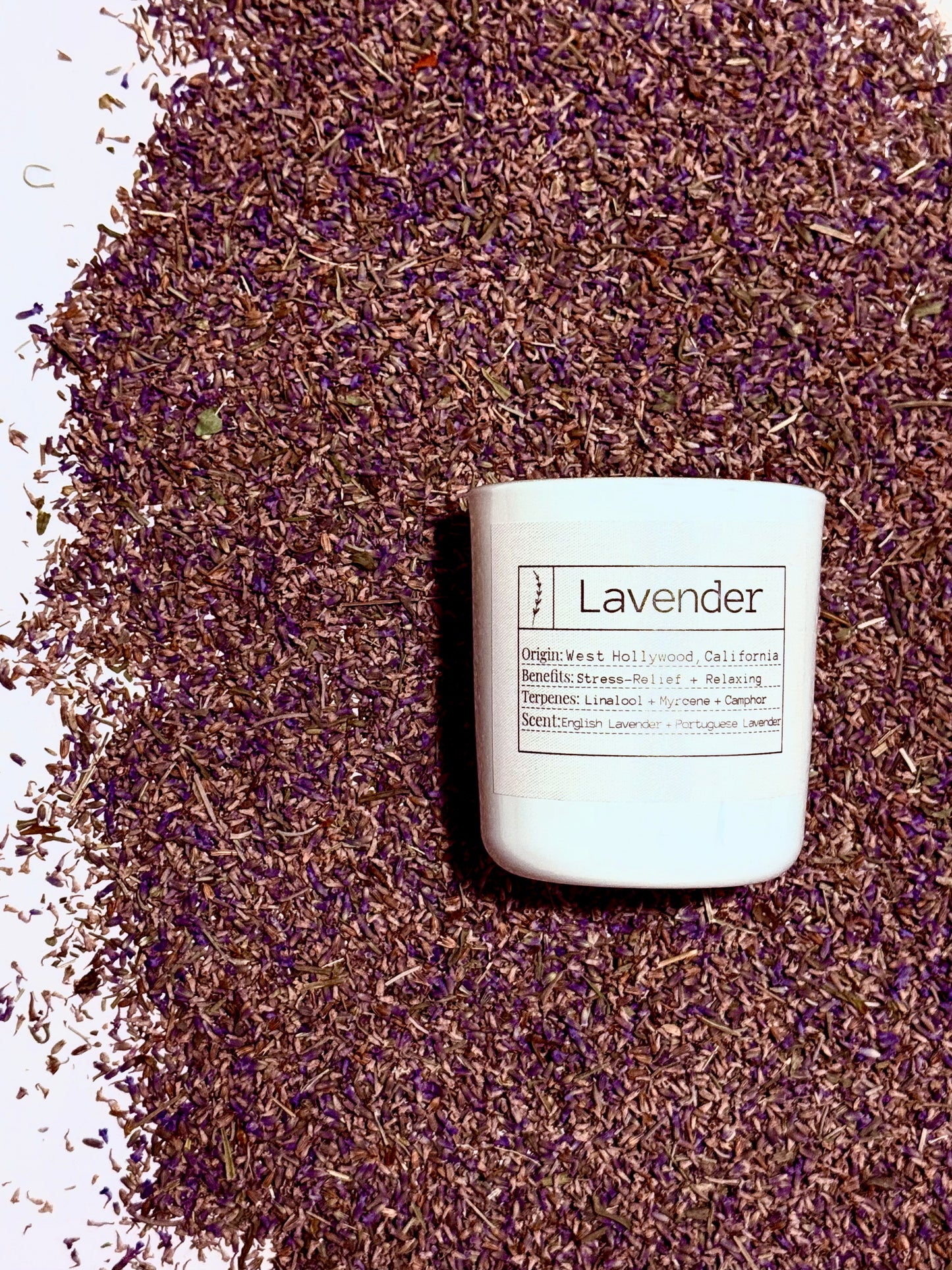 Slow Burning Lavender