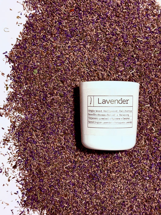 Slow Burning Lavender