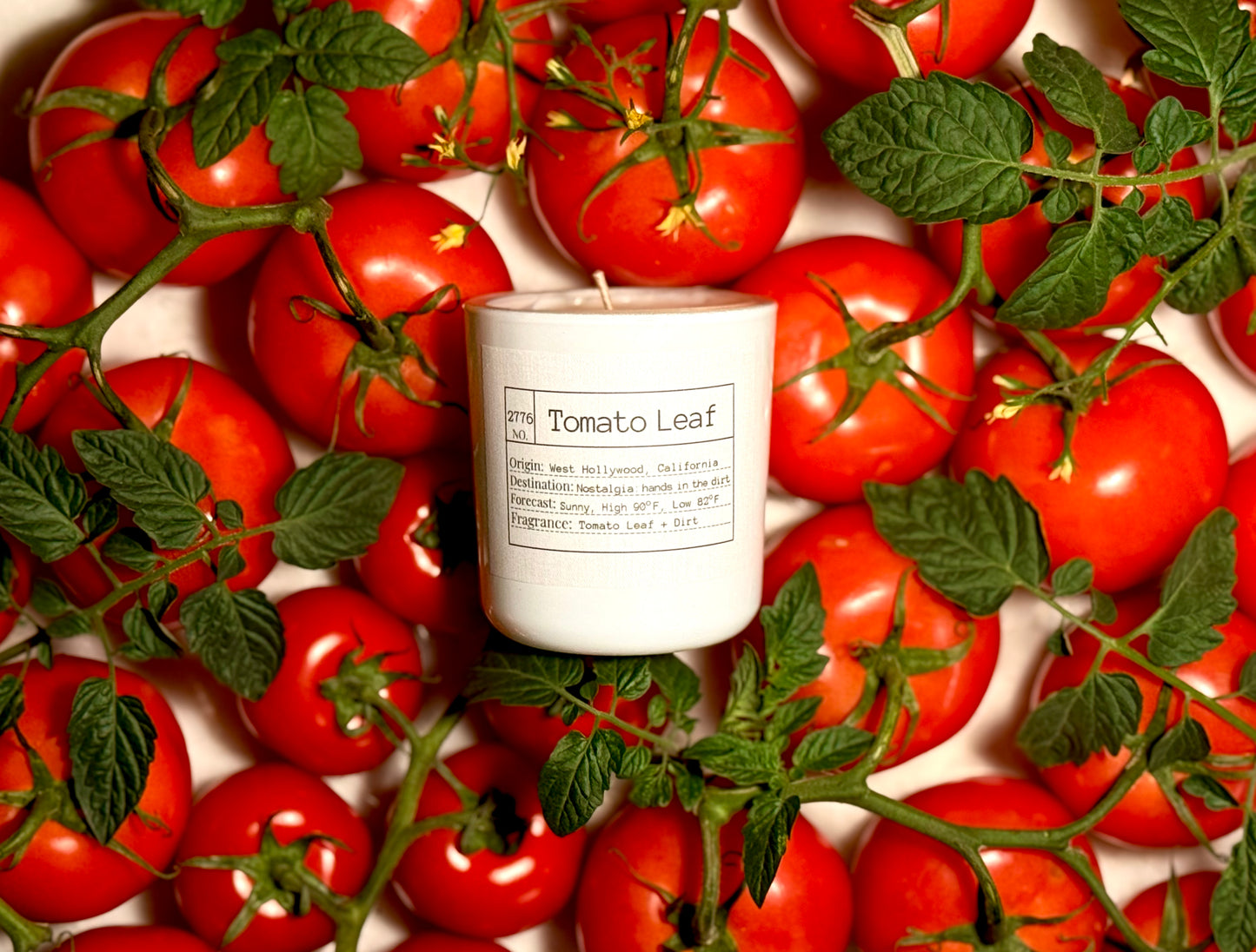 Tomato Leaf Slow-Burn Soy Candle