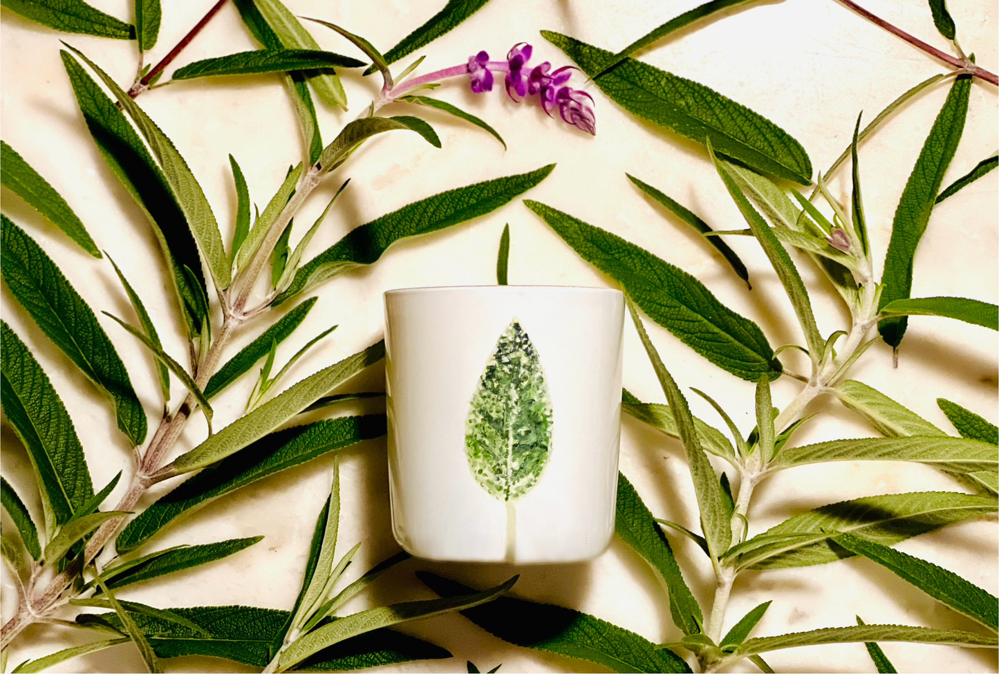 Candle of the Month: Slow Burning Garden Sage