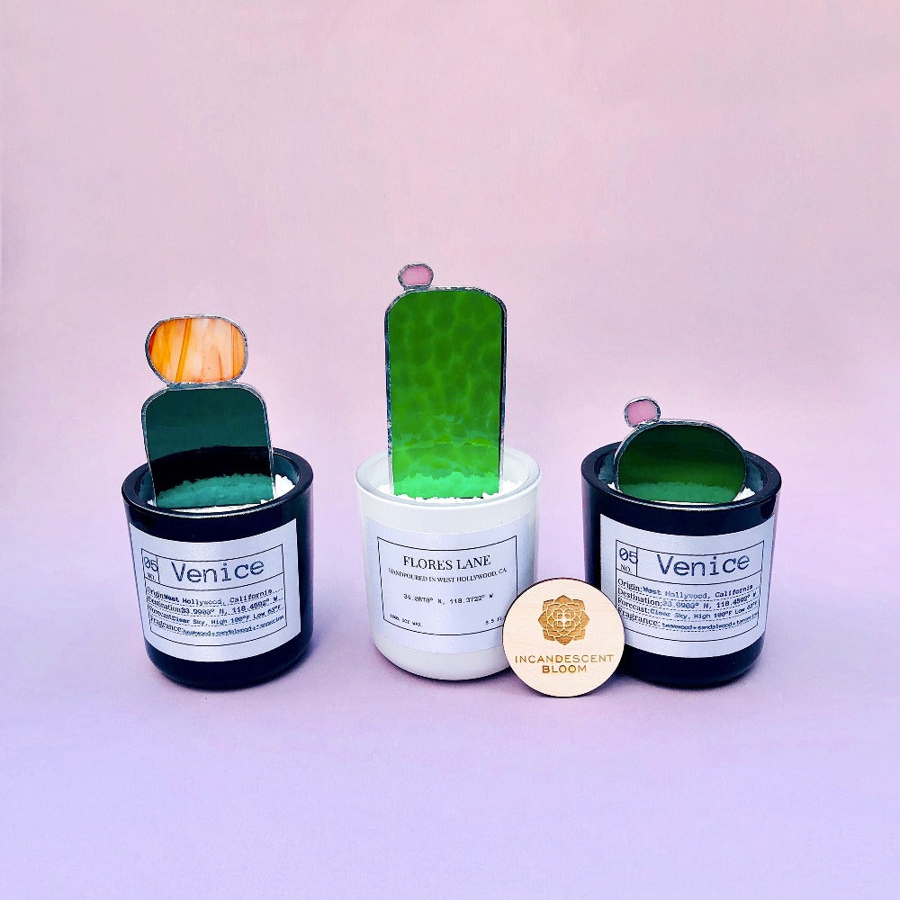 Cacti Stained Glass Plant Picks
