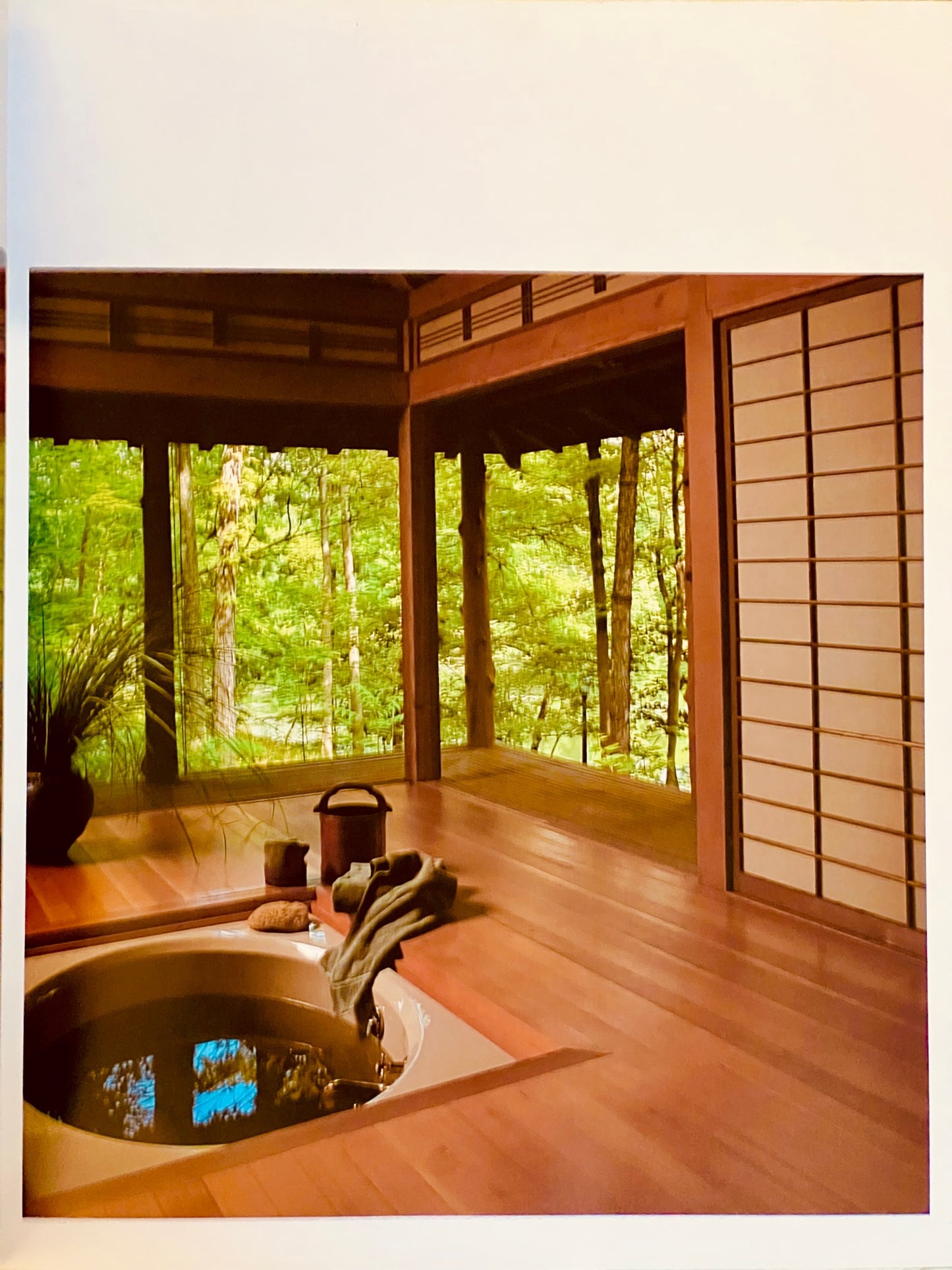 Nature on View (Homes & Gardens Inspired By Japan)