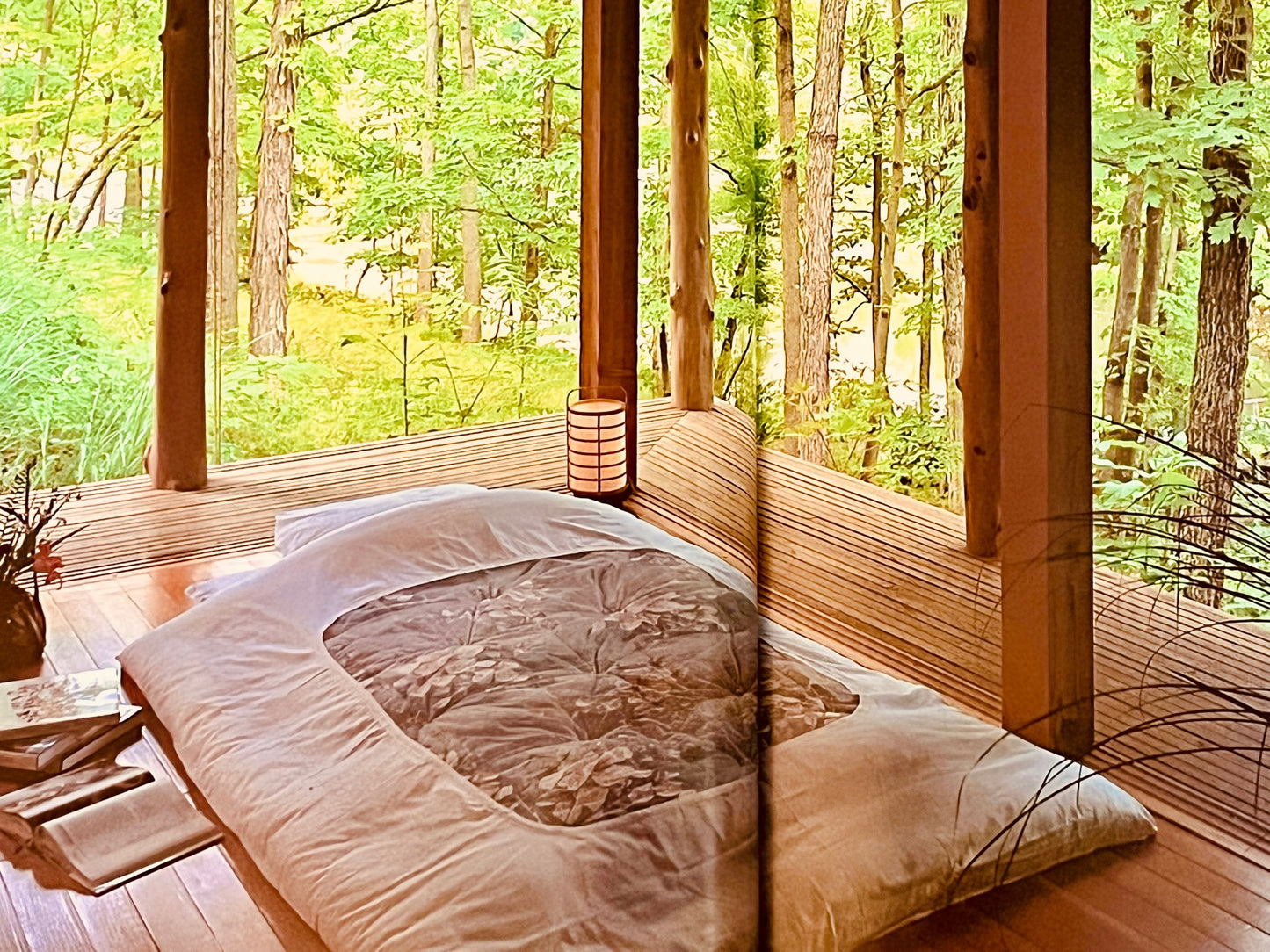 Nature on View (Homes & Gardens Inspired By Japan)