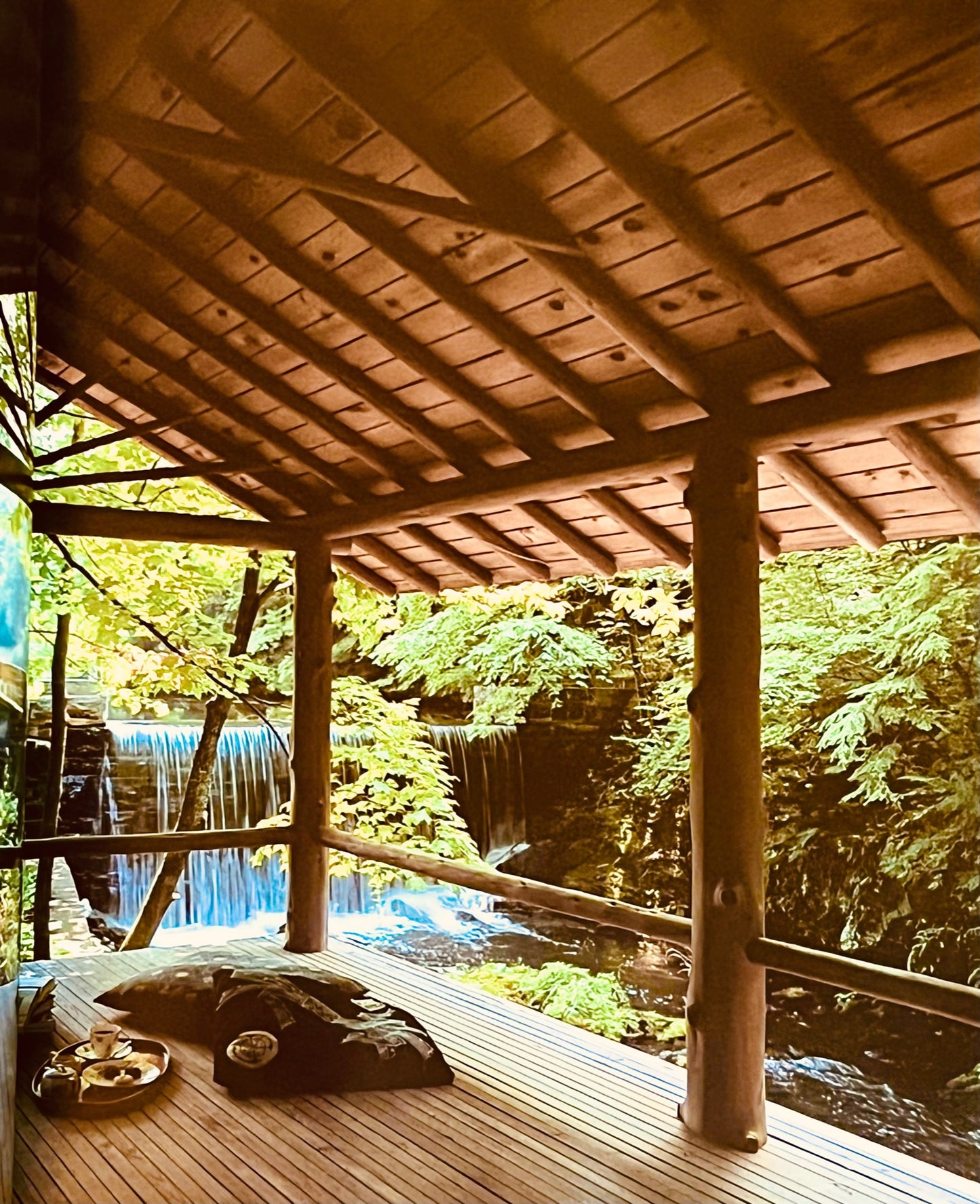 Nature on View (Homes & Gardens Inspired By Japan)