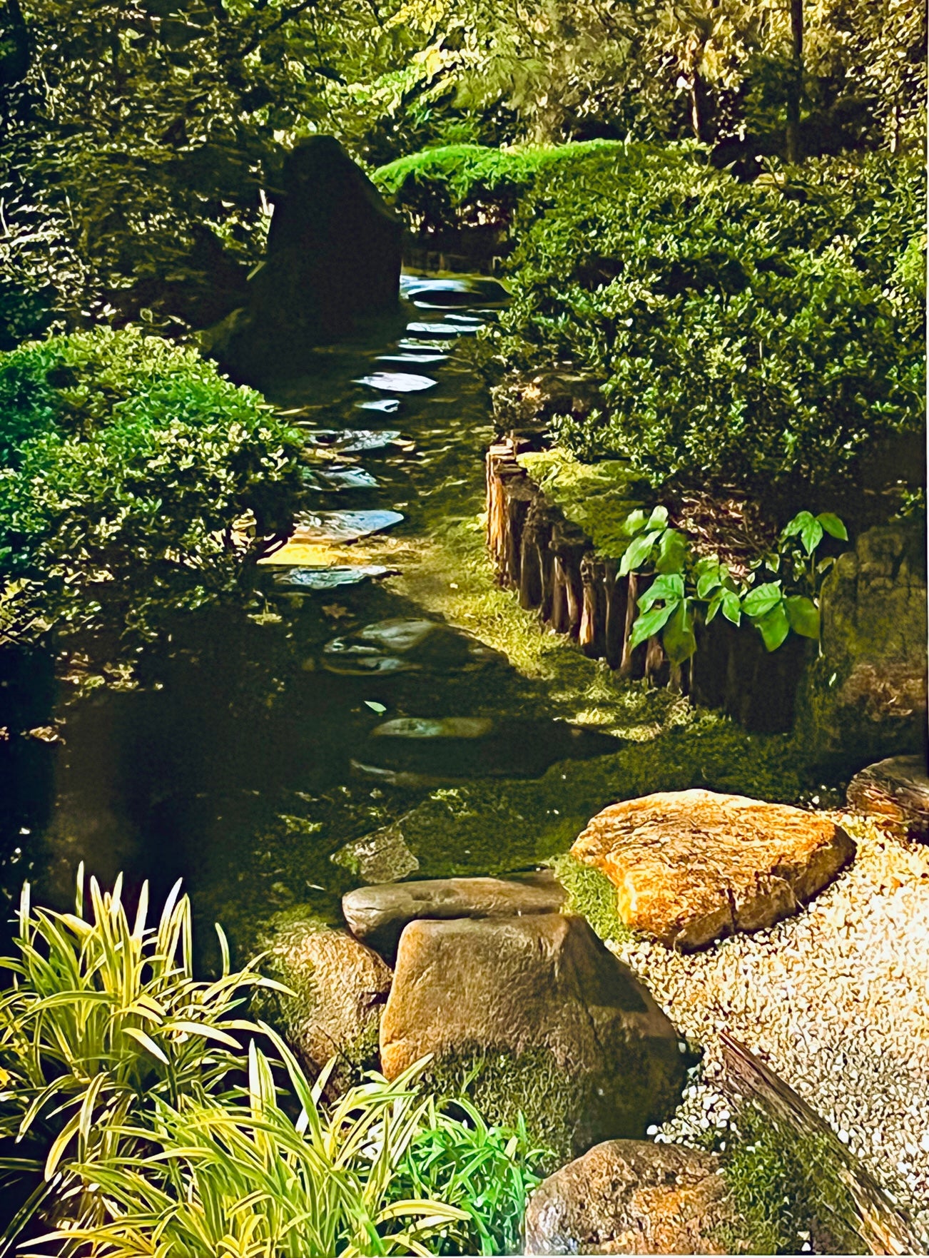 Nature on View (Homes & Gardens Inspired By Japan)