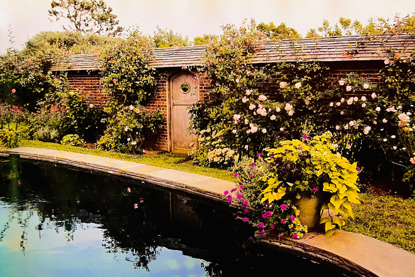 The Swimming Pool