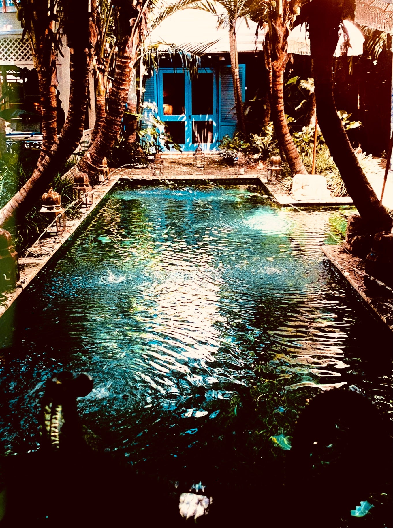 The Swimming Pool