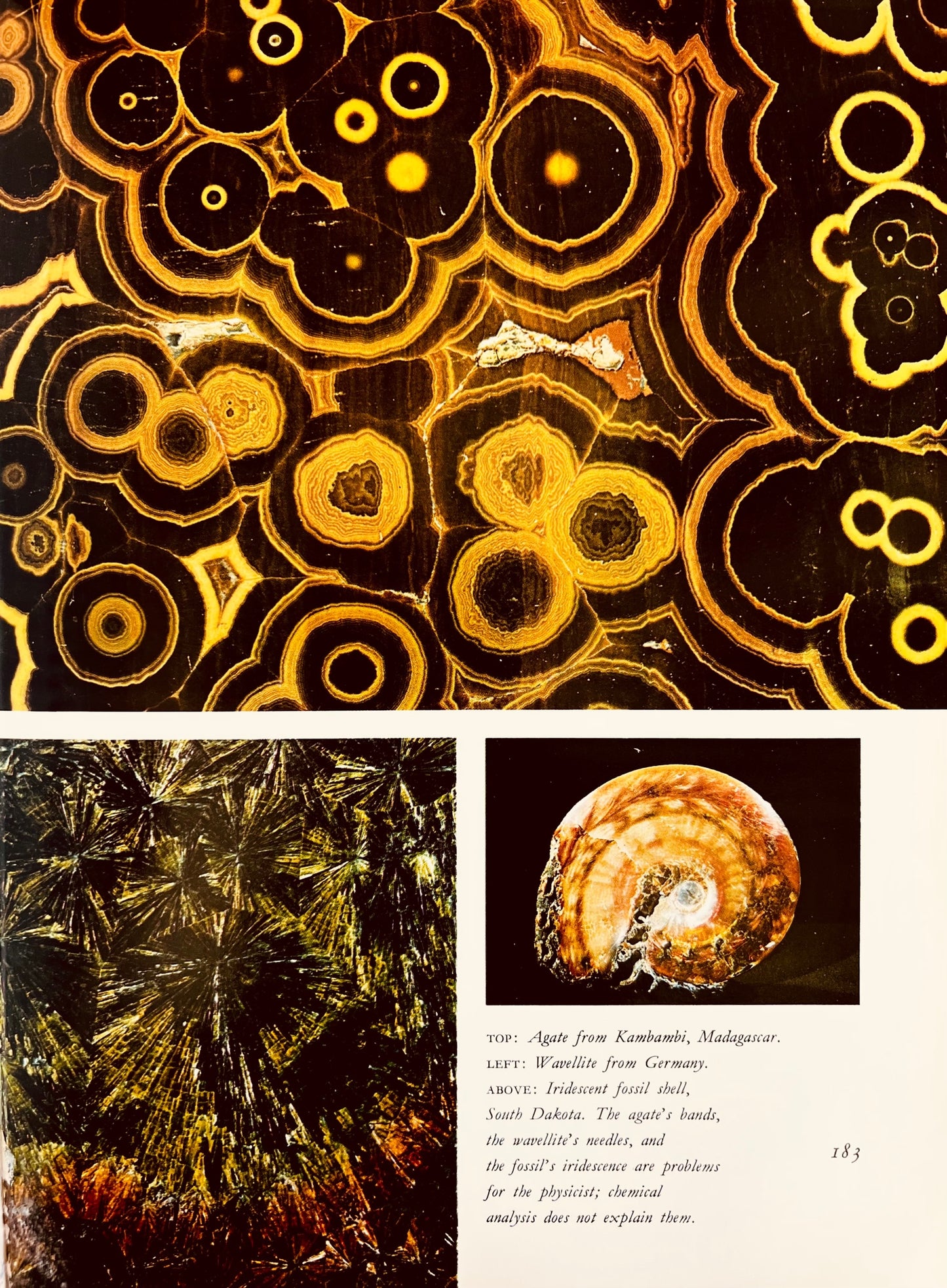 Mineral Kingdom Book