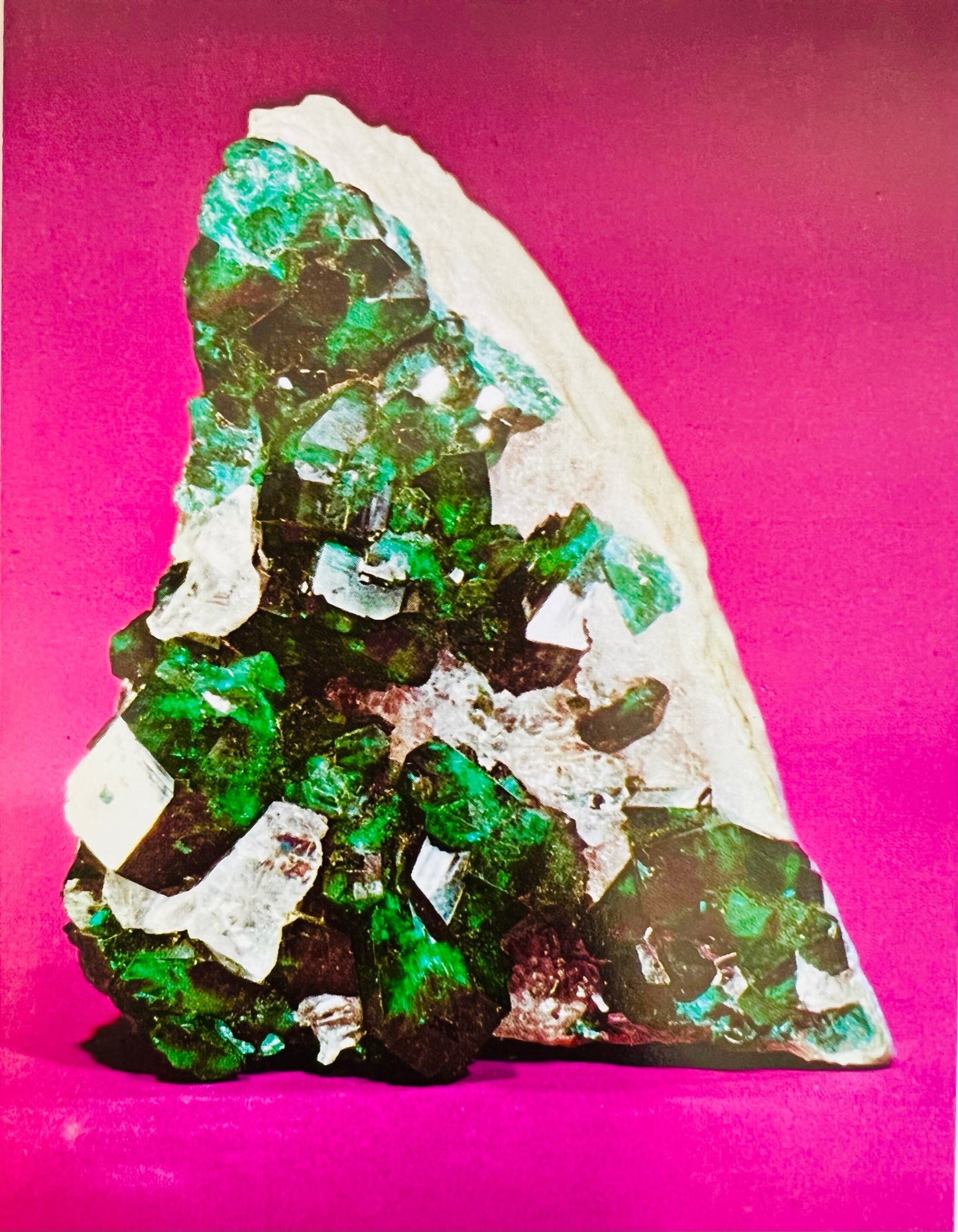 Mineral Kingdom Book