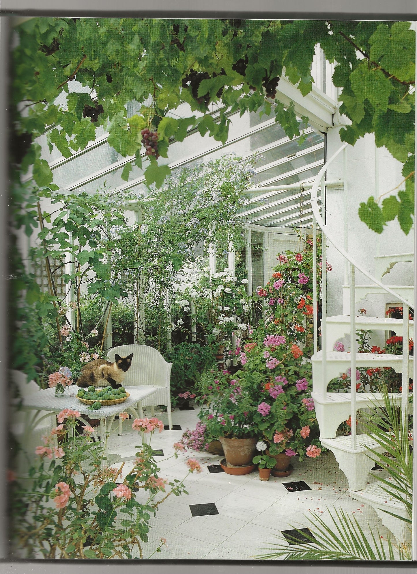 Living Under Glass