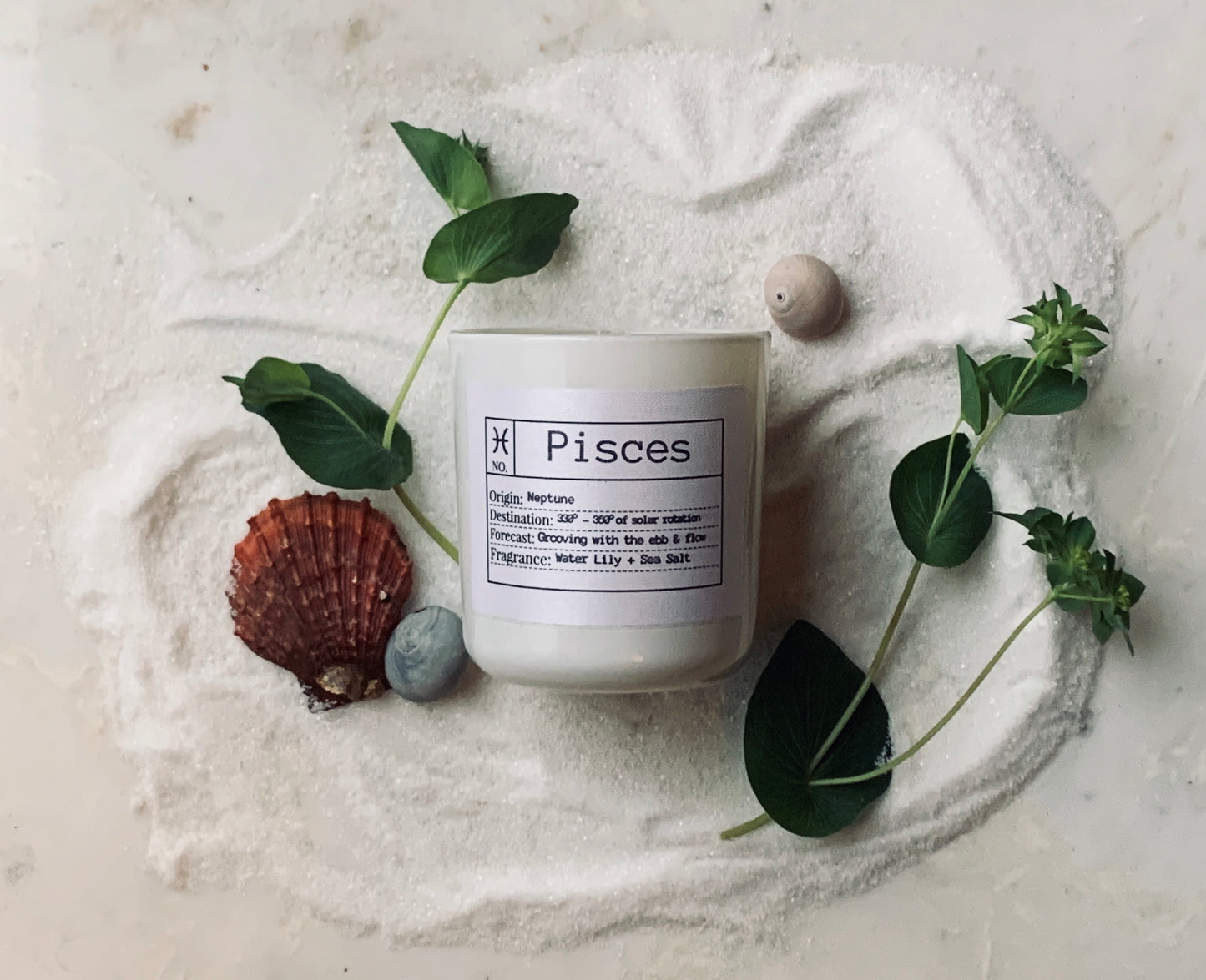 Pisces Soy Candle, Slow Burn Candle