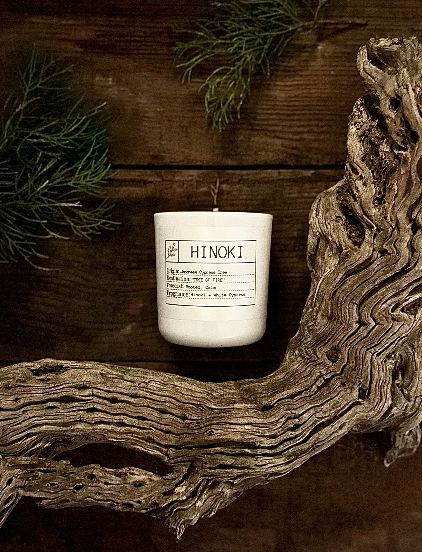 Candle of the Month: Hinoki Slow Burn Soy Candle