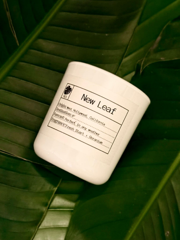 Candle of the Month: New Leaf Slow Burn Soy Candle