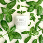 Candle of the Month: Fresh Basil Slow-Burn Soy Candle