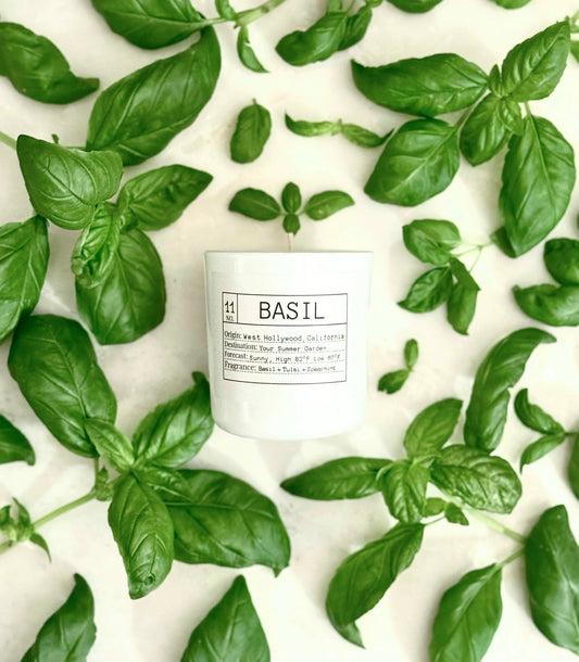 Candle of the Month: Fresh Basil Slow-Burn Soy Candle