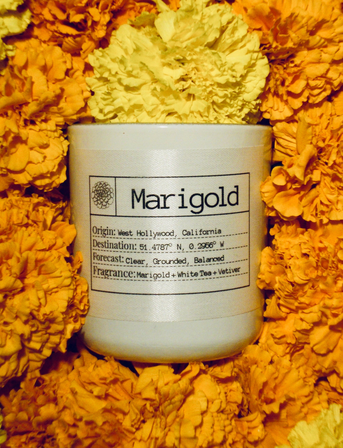 Candle of the Month: Marigold Slow-Burn Soy Candle