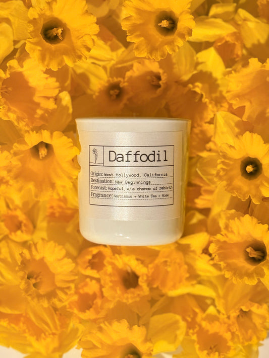 Candle of the Month: Daffodil Slow Burn Soy Candle