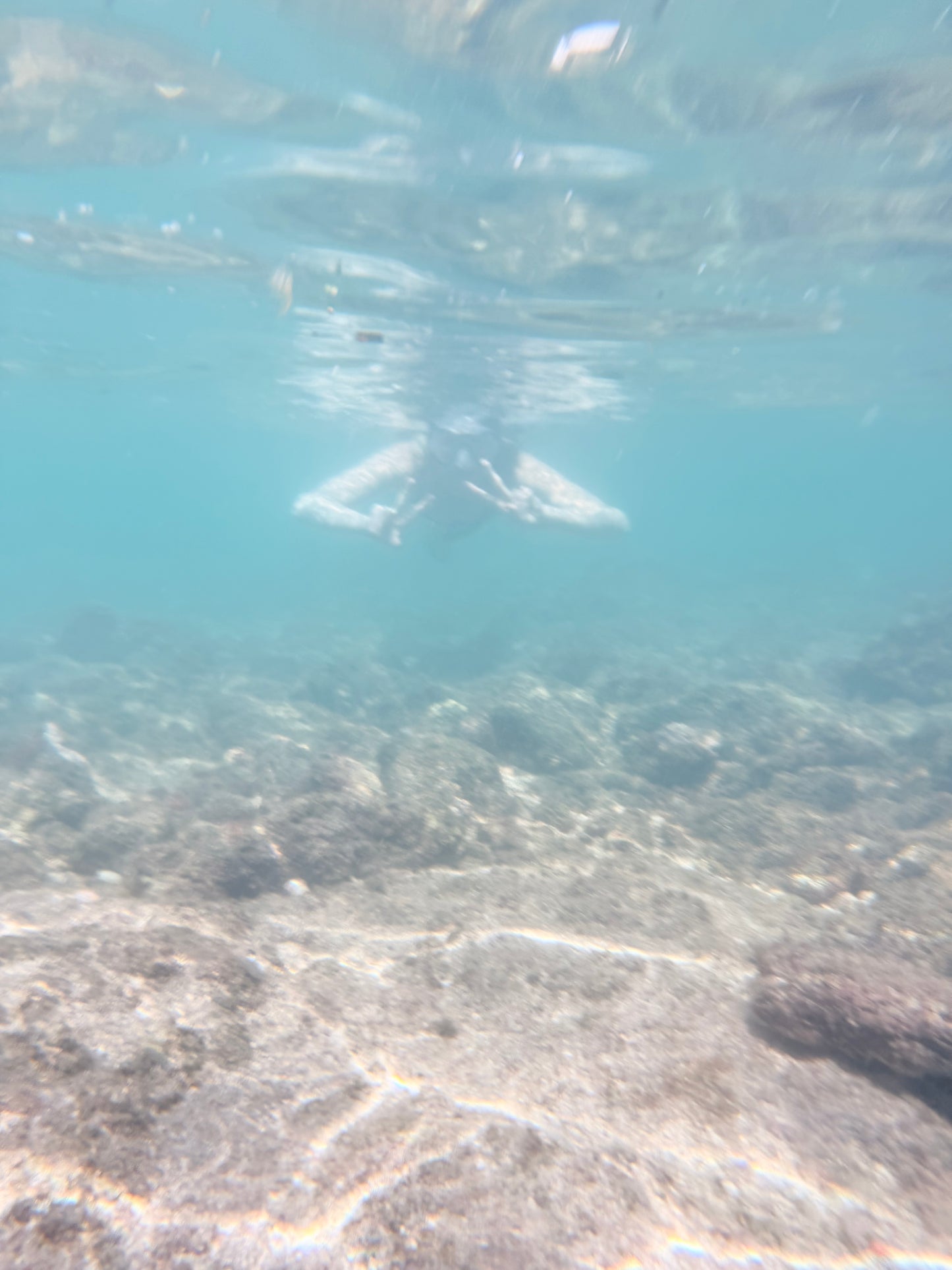 Candle of the Month: Kailua-Kona Slow Burn Soy Candle