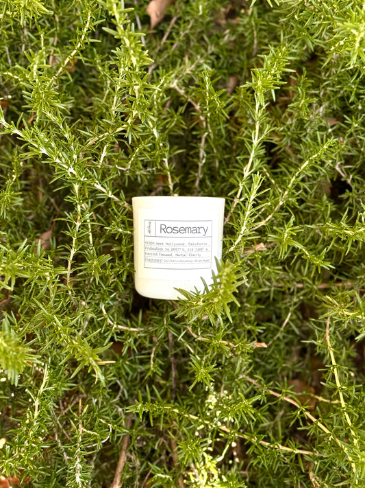 Candle of the Month: California Rosemary Slow-Burn Soy Candle