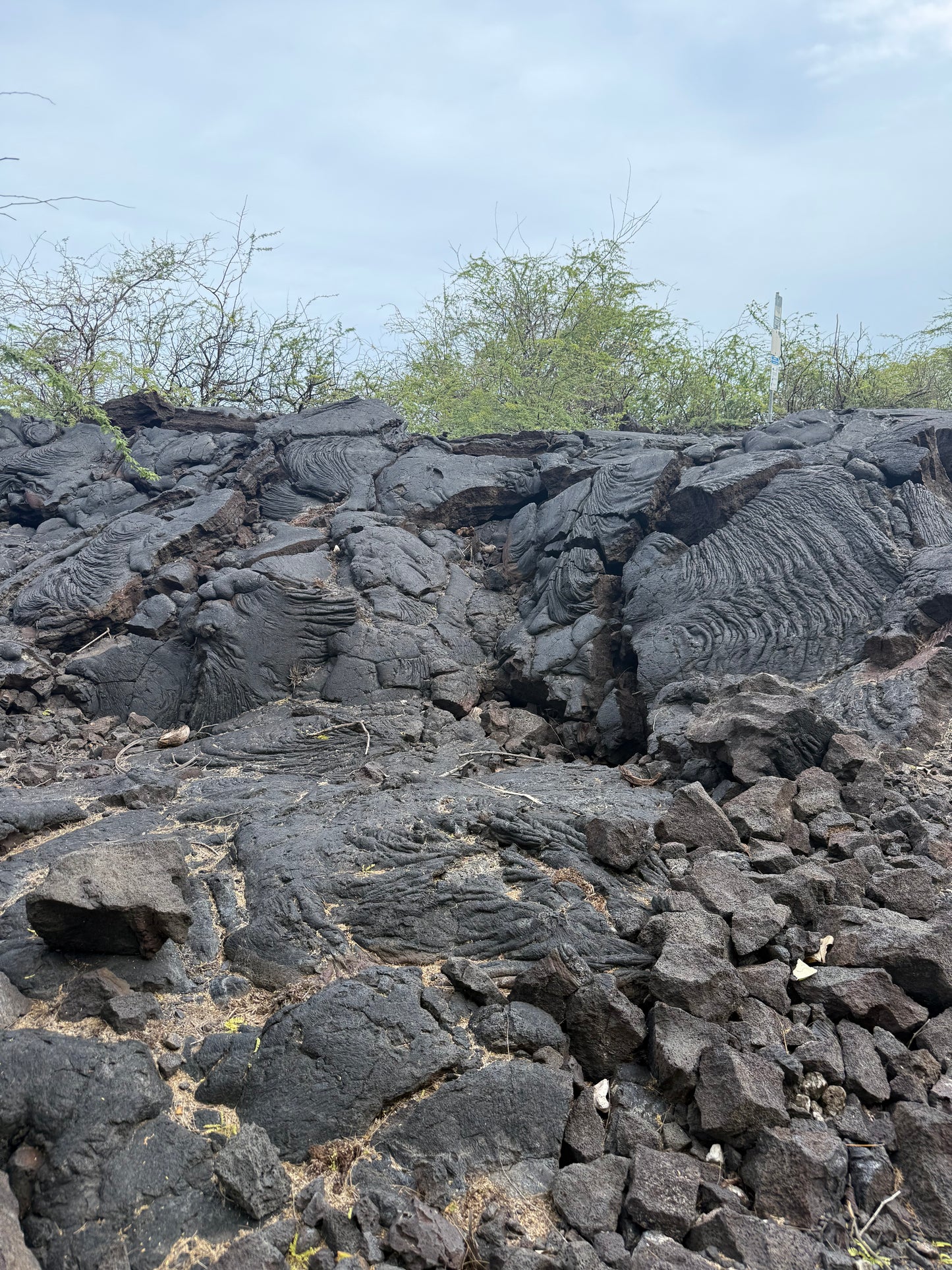 Candle of the Month: Kailua-Kona Slow Burn Soy Candle