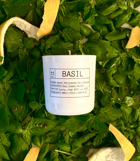 Candle of the Month: Basil Slow-Burn Soy Candle