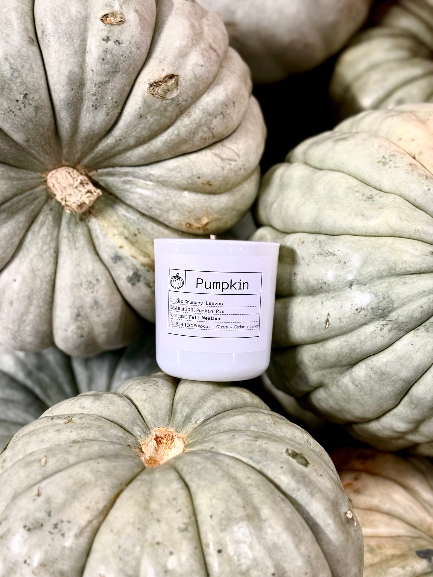 Candle of the Month: Pumpkin Harvest Slow-Burn Soy Candle