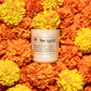 Candle of the Month: Marigold Slow-Burn Soy Candle
