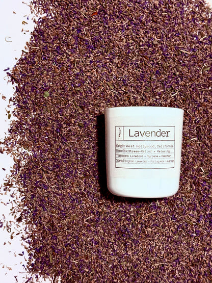 Slow Burning Lavender