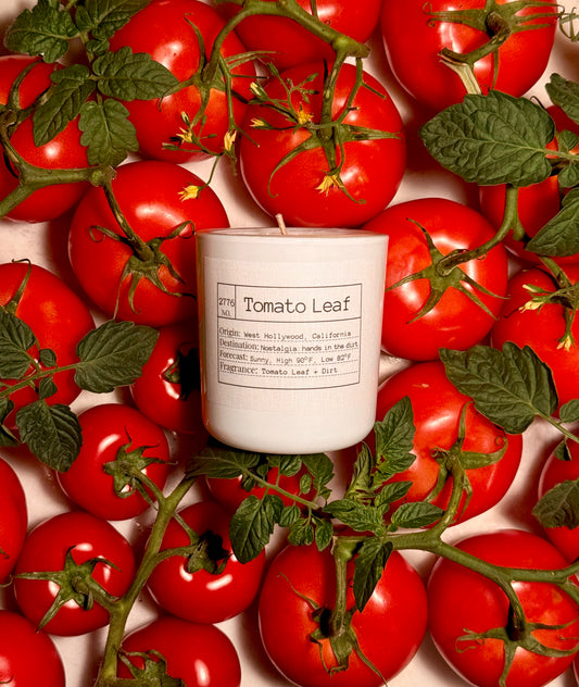 Candle of the Month: Tomato Leaf Slow-Burn Soy Candle