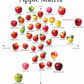 Candle of the Month: Granny Smith Apple Slow Burn Soy Candle