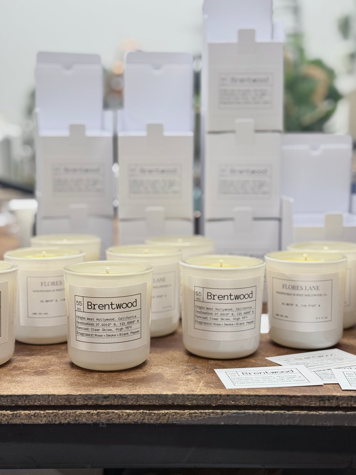 Brentwood Slow-Burning Soy Candle