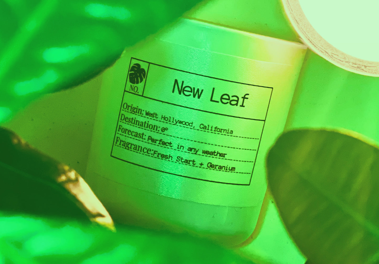 Candle of the Month: New Leaf