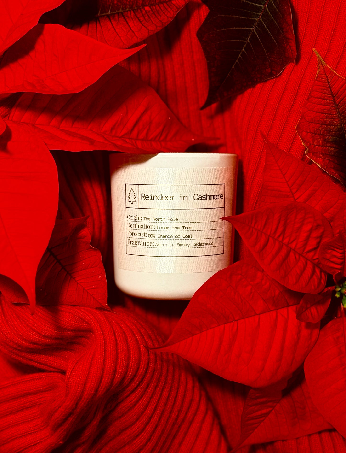 Candle of the Month: Reindeer in Cashmere Soy Candle