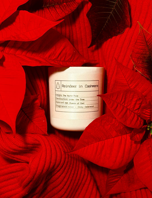Candle of the Month: Reindeer in Cashmere Soy Candle