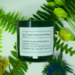 FLORES LANE X ACADEMY MUSEUM Green House on the Moon Soy Candle, Slow Burn Candle