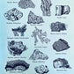 Mineral Kingdom Book