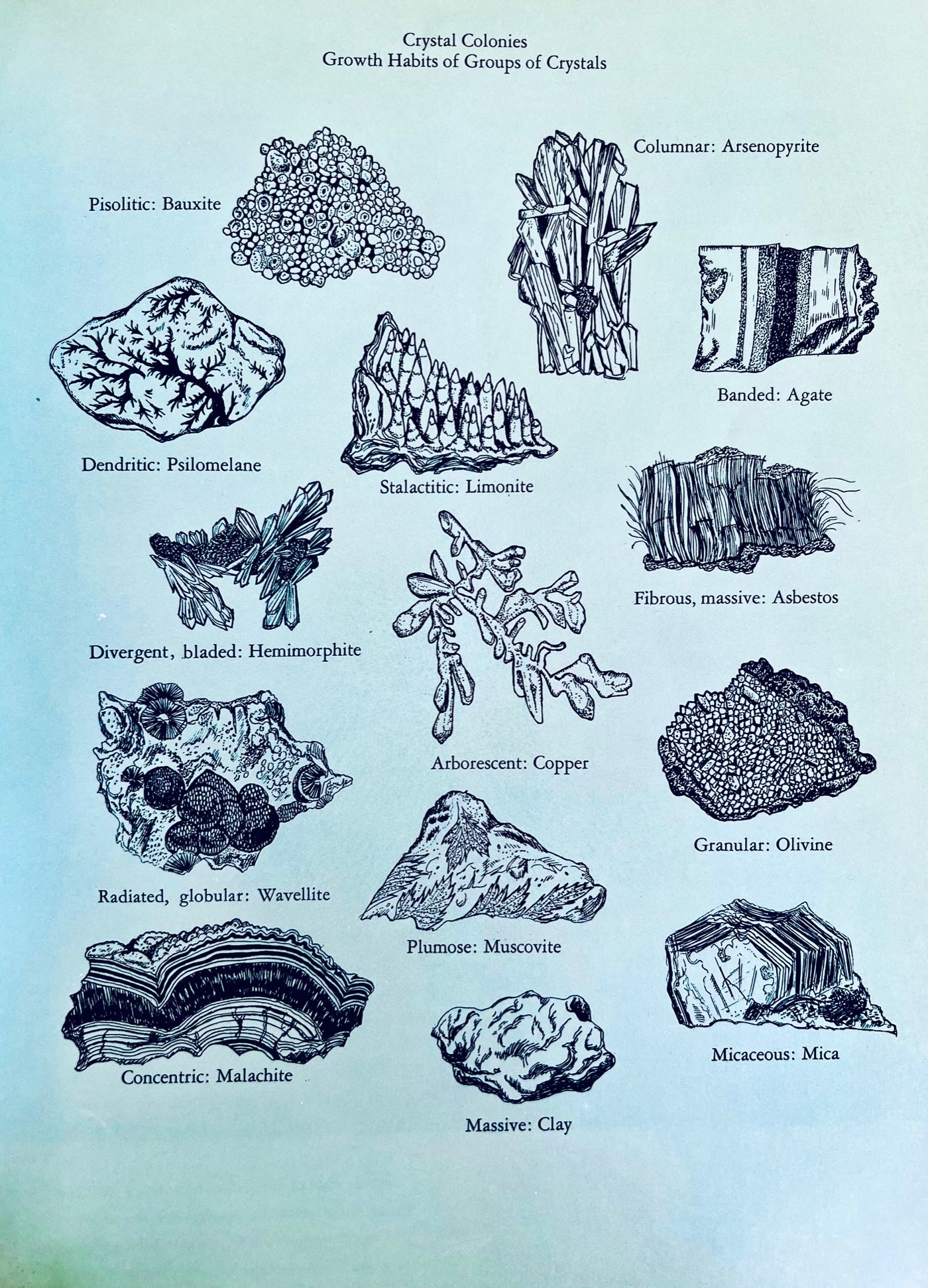 Mineral Kingdom Book